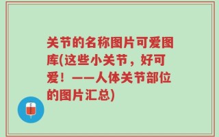 关节的名称图片可爱图库(这些小关节，好可爱！——人体关节部位的图片汇总)