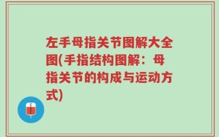 左手母指关节图解大全图(手指结构图解：母指关节的构成与运动方式)
