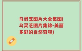 乌灵芝图片大全集图(乌灵芝图片集锦-美丽多彩的自然奇观)