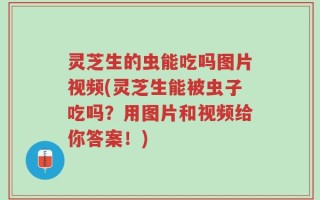 灵芝生的虫能吃吗图片视频(灵芝生能被虫子吃吗？用图片和视频给你答案！)
