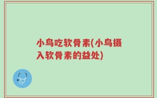 小鸟吃软骨素(小鸟摄入软骨素的益处)