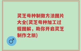 灵芝母种制做方法图片大全(灵芝母种加工过程图解，助你开启灵芝制作之旅)