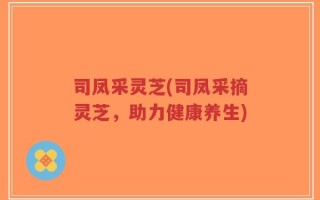 司凤采灵芝(司凤采摘灵芝，助力健康养生)