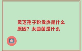 灵芝孢子粉发热是什么原因？太曲菌是什么