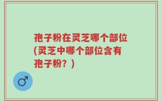 孢子粉在灵芝哪个部位(灵芝中哪个部位含有孢子粉？)