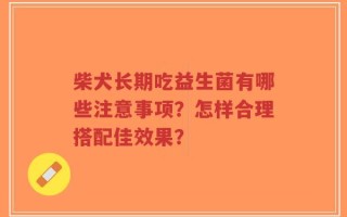 柴犬长期吃益生菌有哪些注意事项？怎样合理搭配佳效果？