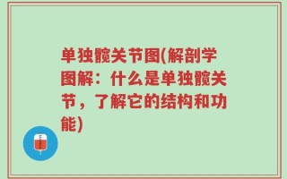 单独髋关节图(解剖学图解：什么是单独髋关节，了解它的结构和功能)