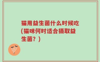 猫用益生菌什么时候吃(猫咪何时适合摄取益生菌？)
