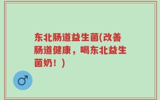 东北肠道益生菌(改善肠道健康，喝东北益生菌奶！)