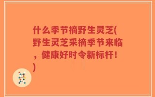 什么季节摘野生灵芝(野生灵芝采摘季节来临，健康好时令新标杆！)