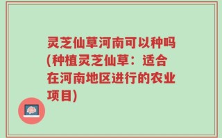 灵芝仙草河南可以种吗(种植灵芝仙草：适合在河南地区进行的农业项目)