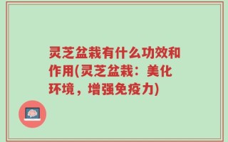 灵芝盆栽有什么功效和作用(灵芝盆栽：美化环境，增强免疫力)