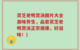 灵芝老鸭煲汤图片大全美味养生，品尝灵芝老鸭煲汤正宗健康，好滋味！)