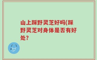 山上踩野灵芝好吗(踩野灵芝对身体是否有好处？