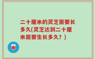 二十厘米的灵芝需要长多久(灵芝达到二十厘米需要生长多久？)