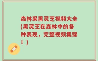 森林采黑灵芝视频大全(黑灵芝在森林中的各种表现，完整视频集锦！)