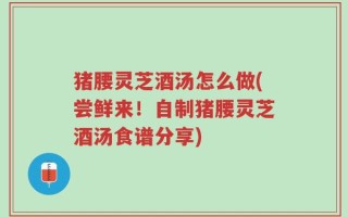 猪腰灵芝酒汤怎么做(尝鲜来！自制猪腰灵芝酒汤食谱分享)