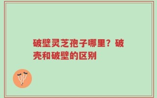 破壁灵芝孢子哪里？破壳和破壁的区别