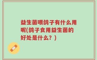 益生菌喂鸽子有什么用呢(鸽子食用益生菌的好处是什么？)
