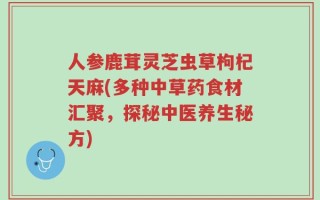人参鹿茸灵芝虫草枸杞天麻(多种中草药食材汇聚，探秘中医养生秘方)