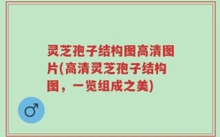 灵芝孢子结构图高清图片(高清灵芝孢子结构图，一览组成之美)