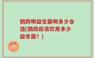 鹦鹉喝益生菌喝多少合适(鹦鹉应该饮用多少益生菌？)