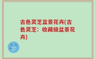 古色灵芝盆景花卉(古色灵芝：收藏级盆景花卉)