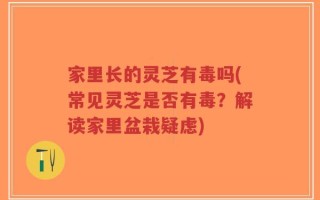 家里长的灵芝有毒吗(常见灵芝是否有毒？解读家里盆栽疑虑)