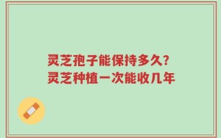 灵芝孢子能保持多久？灵芝种植一次能收几年