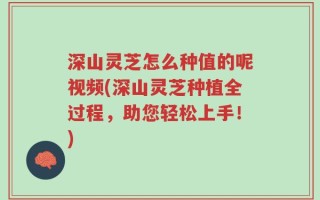 深山灵芝怎么种值的呢视频(深山灵芝种植全过程，助您轻松上手！)