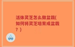 活体灵芝怎么做盆栽(如何将灵芝培育成盆栽？)