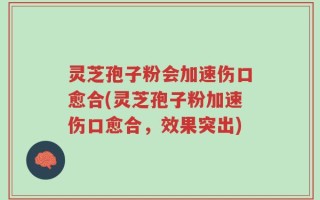 灵芝孢子粉会加速伤口愈合(灵芝孢子粉加速伤口愈合，效果突出)