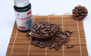 灵芝与灵芝孢子粉的关系是什么？