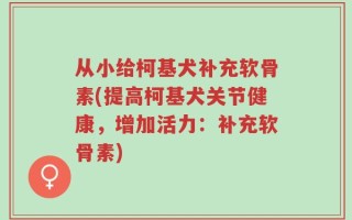 从小给柯基犬补充软骨素(提高柯基犬关节健康，增加活力：补充软骨素)