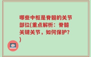 哪些中枢是脊髓的关节部位(重点解析：脊髓关键关节，如何保护？)