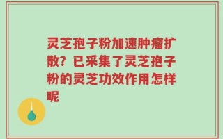 灵芝孢子粉加速肿瘤扩散？已采集了灵芝孢子粉的灵芝功效作用怎样呢