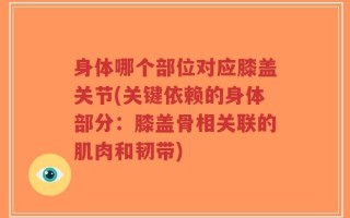 身体哪个部位对应膝盖关节(关键依赖的身体部分：膝盖骨相关联的肌肉和韧带)