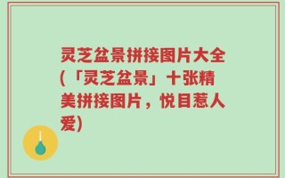 灵芝盆景拼接图片大全(「灵芝盆景」十张精美拼接图片，悦目惹人爱)