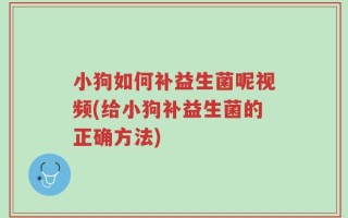 小狗如何补益生菌呢视频(给小狗补益生菌的正确方法)