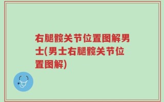 右腿髋关节位置图解男士(男士右腿髋关节位置图解)