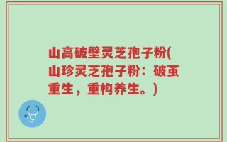 山高破壁灵芝孢子粉(山珍灵芝孢子粉：破茧重生，重构养生。)