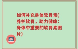 如何补充身体软骨素(养护软骨，助力健康：身体中重要的软骨素图片)