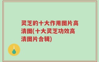 灵芝的十大作用图片高清图(十大灵芝功效高清图片合辑)