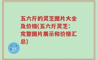 五六斤的灵芝图片大全及价格(五六斤灵芝：完整图片展示和价格汇总)