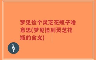 梦见捡个灵芝花瓶子啥意思(梦见捡到灵芝花瓶的含义)