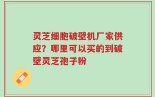 灵芝细胞破壁机厂家供应？哪里可以买的到破壁灵芝孢子粉