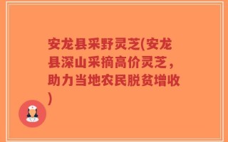 安龙县采野灵芝(安龙县深山采摘高价灵芝，助力当地农民脱贫增收)
