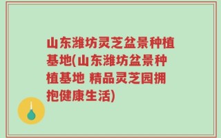 山东潍坊灵芝盆景种植基地(山东潍坊盆景种植基地 精品灵芝园拥抱健康生活)