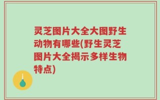 灵芝图片大全大图野生动物有哪些(野生灵芝图片大全揭示多样生物特点)