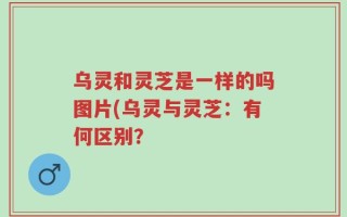 乌灵和灵芝是一样的吗图片(乌灵与灵芝：有何区别？